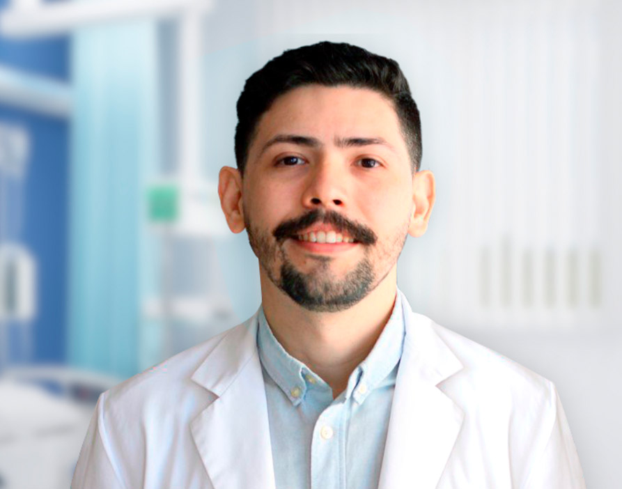 Descripción de la imagen