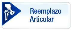 Reemplazo Articular